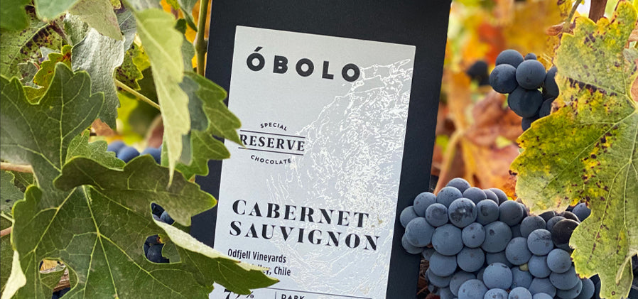 ÓBOLO Chocolate Y Odfjell Vineyards lanzan inédita barra de chocolate cabernet sauvignon 72% Cacao