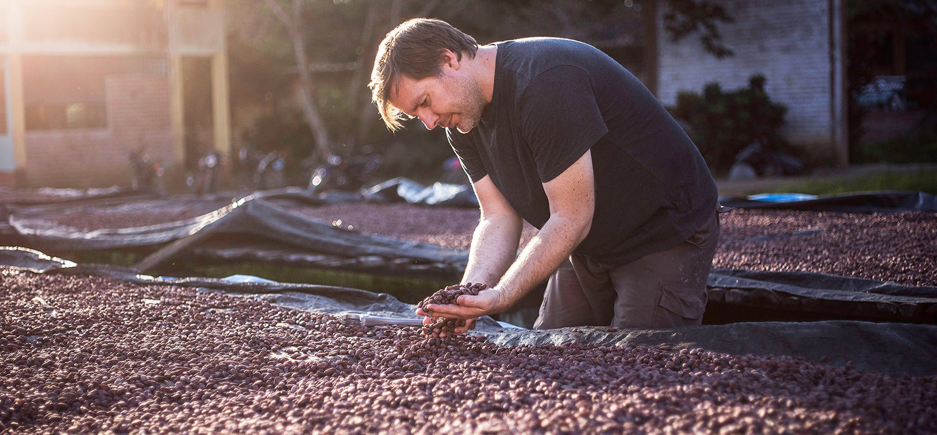 Descifrando la huella del chocolate