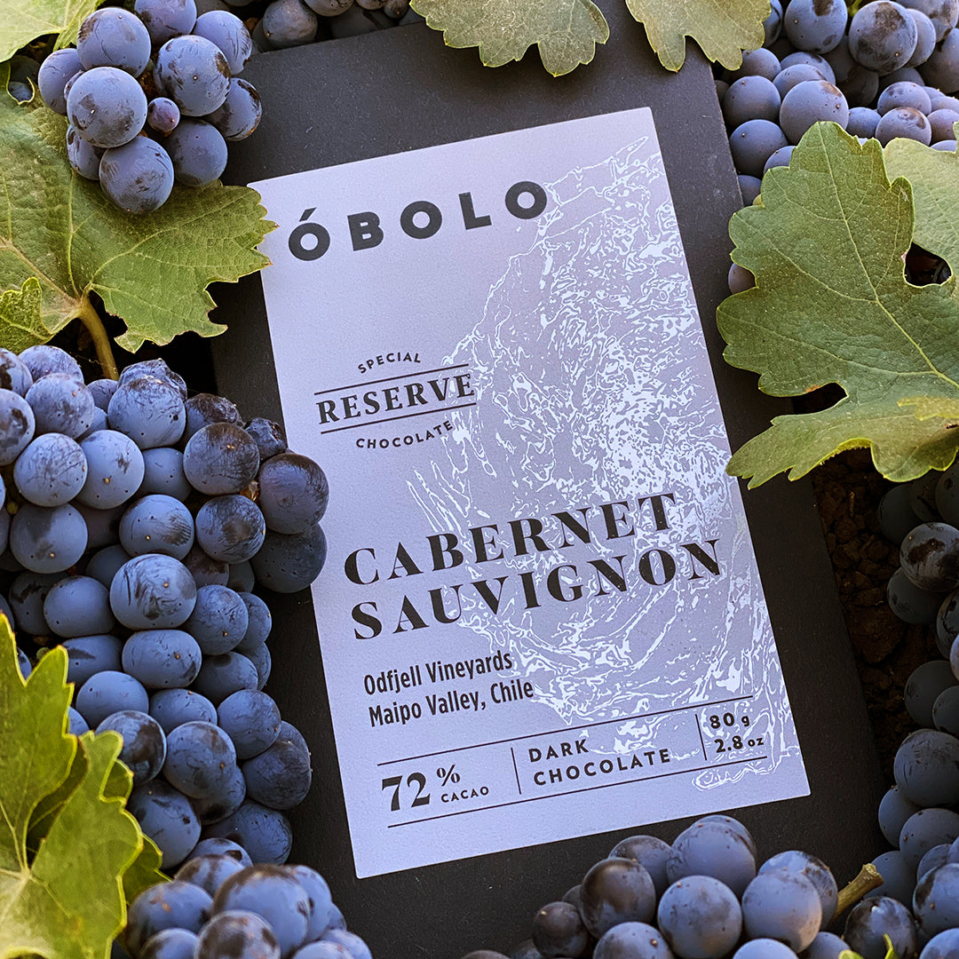 Chocolate amargo con cabernet sauvignon en una viña