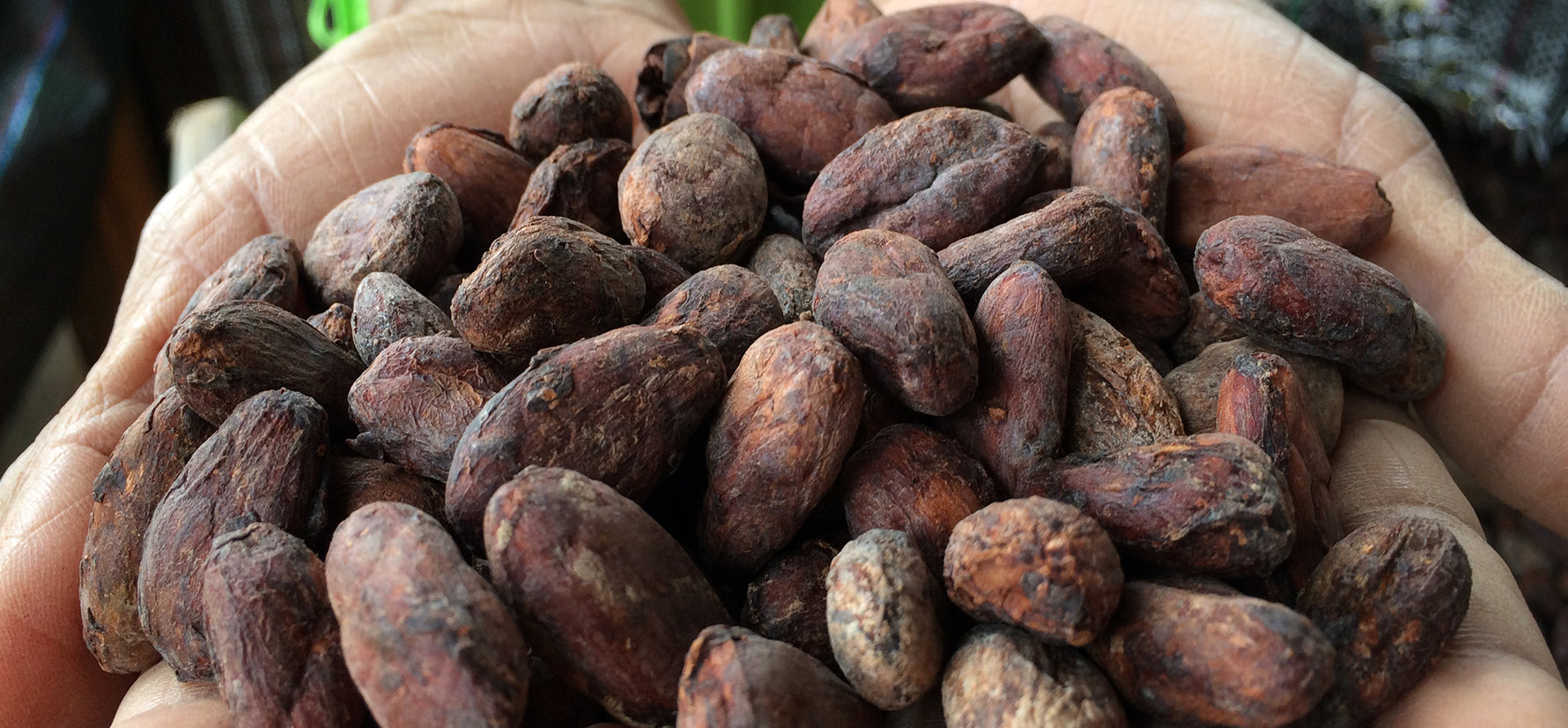 ÓBOLO, chocolate hecho con cacao orgánico