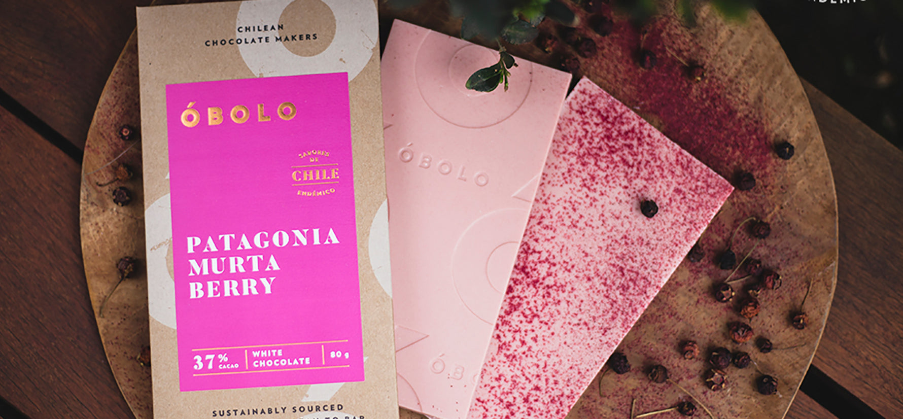 “Sabores endémicos de Chile”: un viaje por la identidad chilena a través de una barra de chocolate