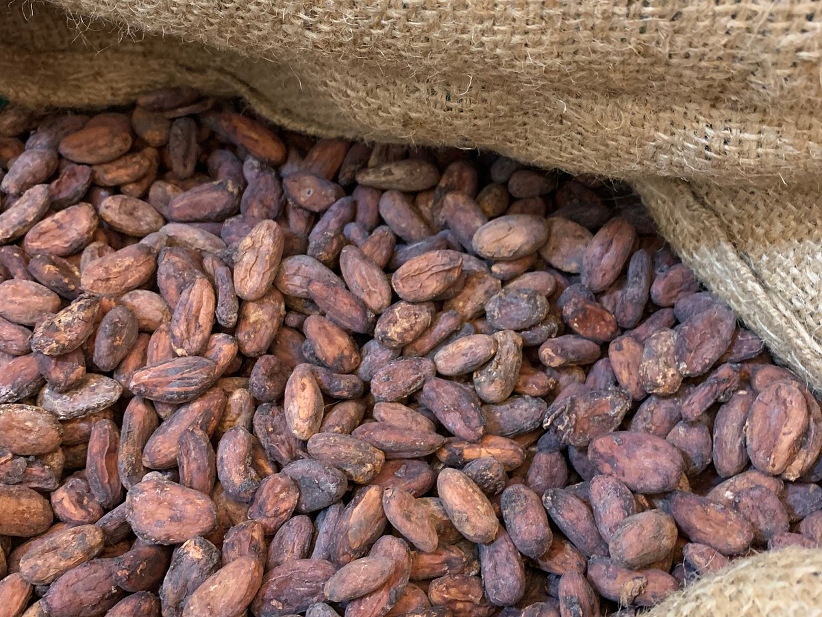 Granos de Cacao Tostado 200 gr