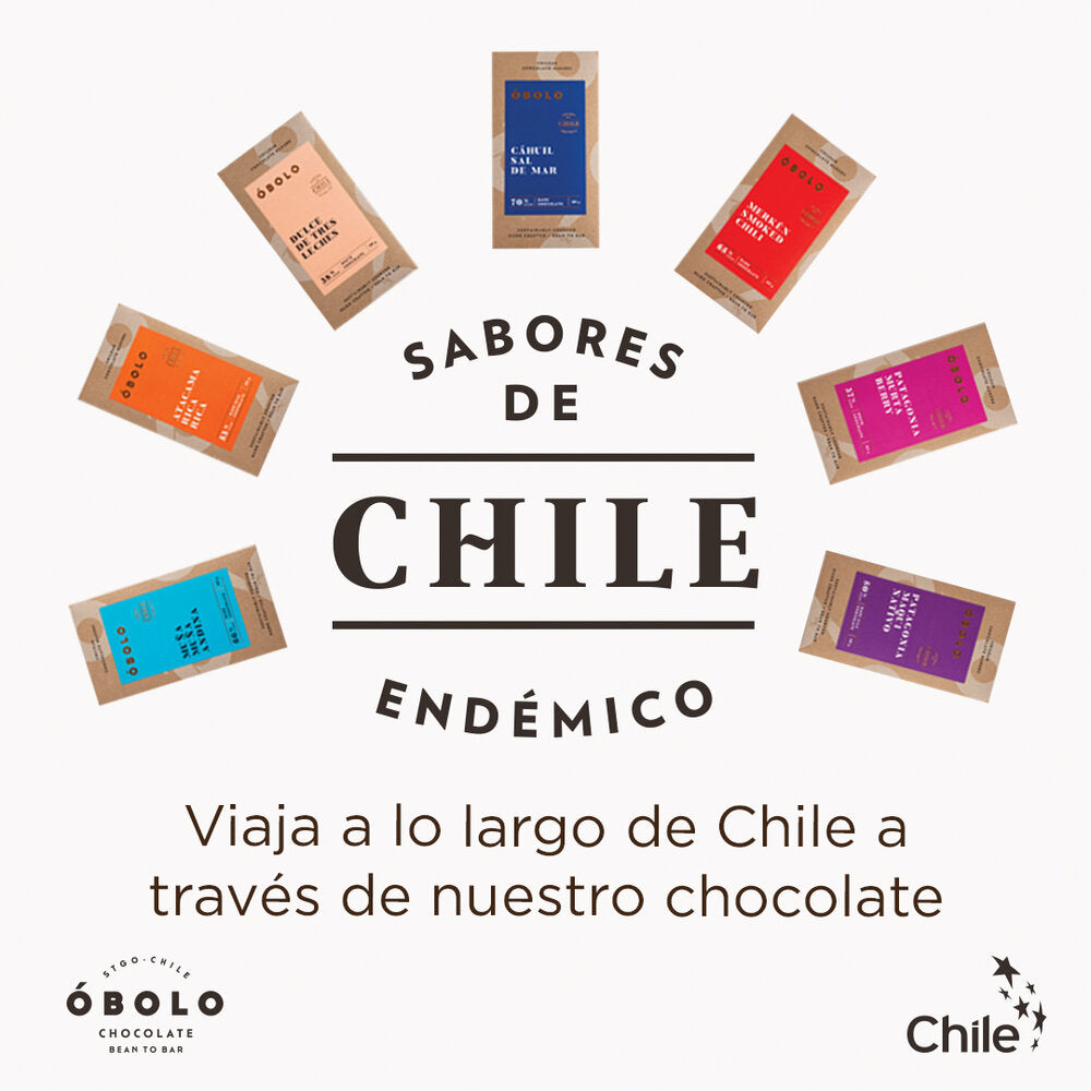 REGALO PACK 7 BARRAS SABORES DE CHILE  - ÓBOLO CHOCOLATE 